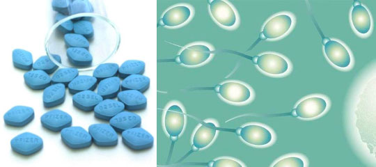 威而鋼等勃起功能障礙的藥物可能有助於提高男性的生育能力
