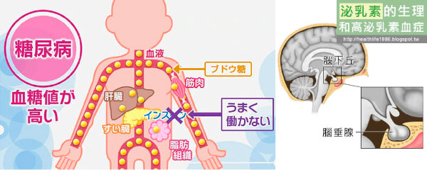 自身疾病的影響