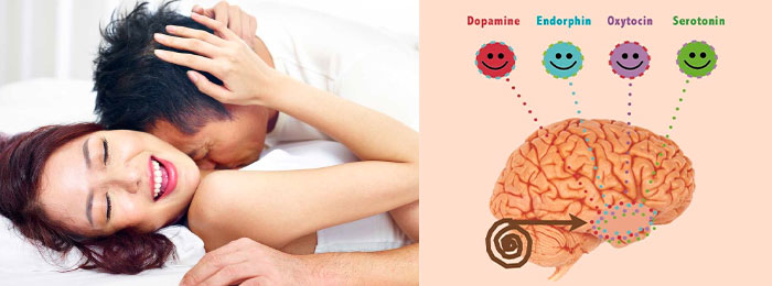 情趣遊戲讓大腦興奮,激發性慾 情趣遊戲讓大腦興奮,激發性慾