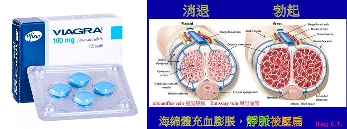 ED藥物 ED藥物